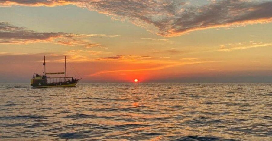 Vrsar: Dolphin Watching Boat Tour including Drinks - Who will enjoy this Vrsar boat trip?