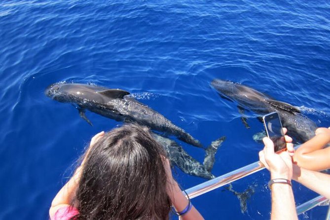 Waitukubuli Dolphin and Whale Watch in Dominica - Listening to whale clicks through the hydrophone