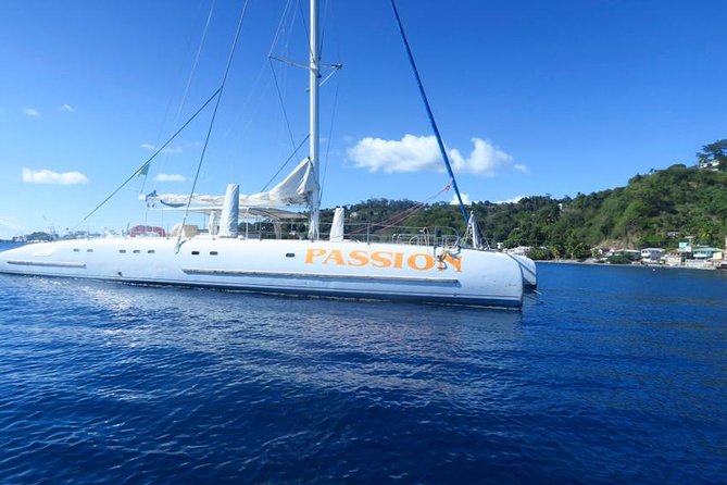 Waitukubuli Dolphin and Whale Watch in Dominica - What the three-hour schedule really feels like