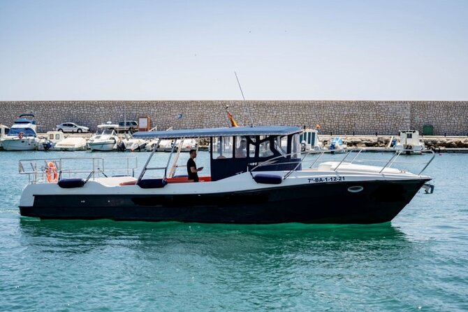 Walk and dolphin watching in Fuengirola + 1 drink - Leaving from Fuengirola’s marina