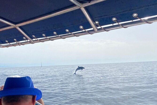 Walk and dolphin watching in Fuengirola + 1 drink - A two-hour search for dolphins