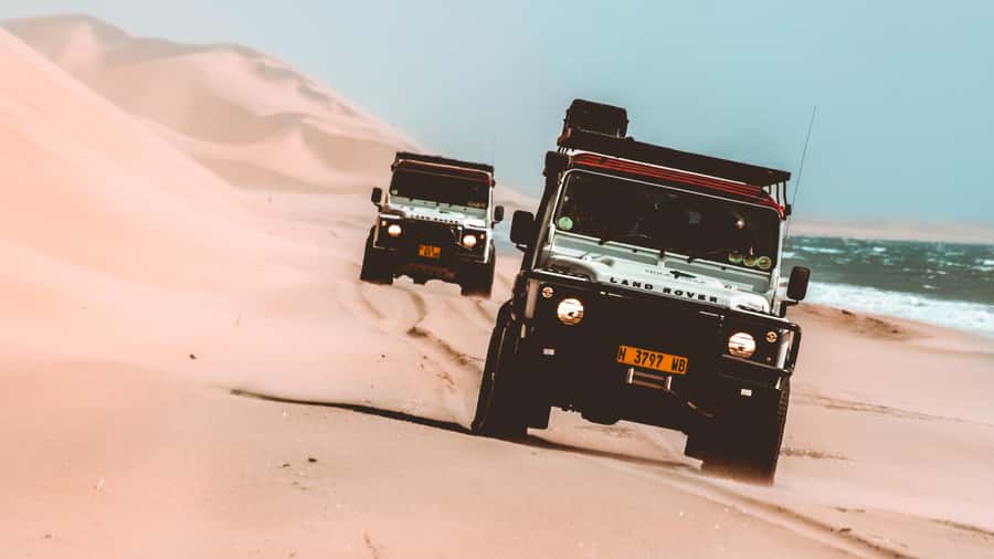 Walvis Bay: Dolphin Cruise, Pink Lakes and 4x4 Dune Drive - Key points to know before booking
