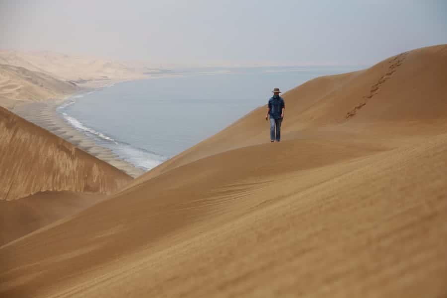 Walvis Bay: Dolphin Cruise, Pink Lakes and 4x4 Dune Drive - A morning on the Walvis Bay water
