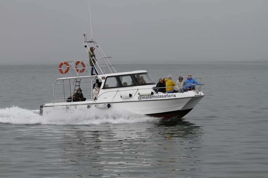 Walvis Bay: Dolphin Cruise, Pink Lakes and 4x4 Dune Drive - A light lunch high above the coast