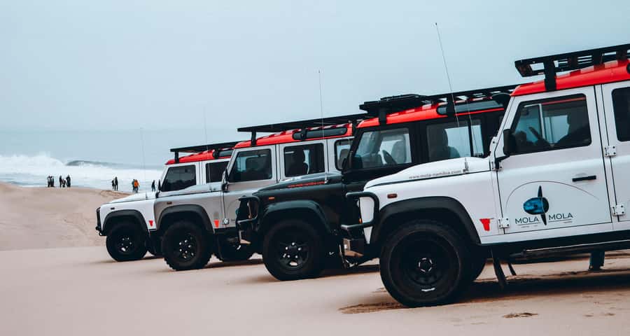 Walvis Bay: Dolphin Cruise, Pink Lakes and 4x4 Dune Drive - Who will enjoy this most