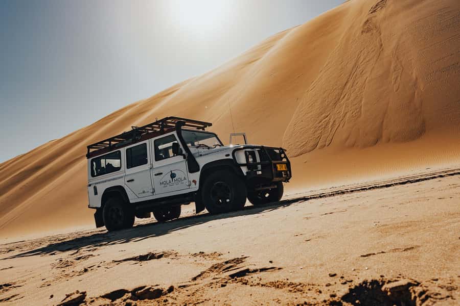 Walvis Bay: Dolphin Cruise, Pink Lakes and 4x4 Dune Drive - Oysters, brunch, and a taste of Walvis Bay
