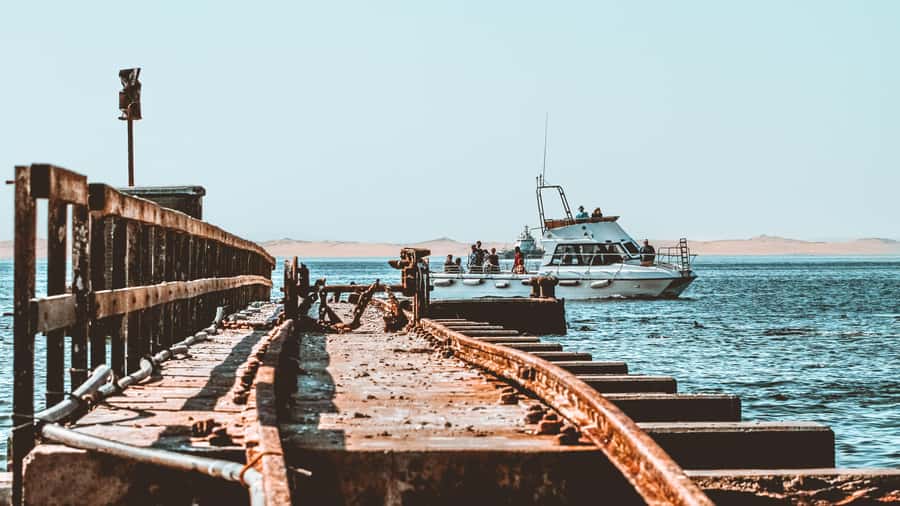 Walvis Bay: Namibian Coast Dolphin Cruise with Light Lunch - Is $155 a fair price?