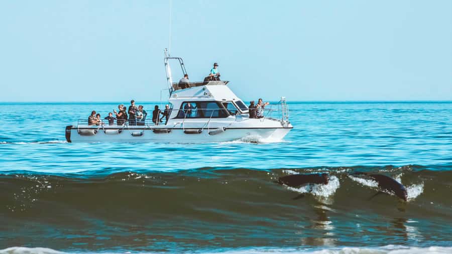 Walvis Bay: Namibian Coast Dolphin Cruise with Light Lunch - Who will enjoy this cruise most?