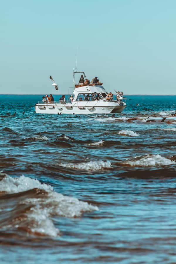 Walvis Bay: Namibian Coast Dolphin Cruise with Light Lunch - Warm drinks before the Atlantic breeze