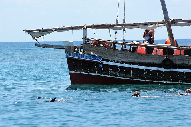 Wasini Dolphin Snorkeling - What the $130 price means