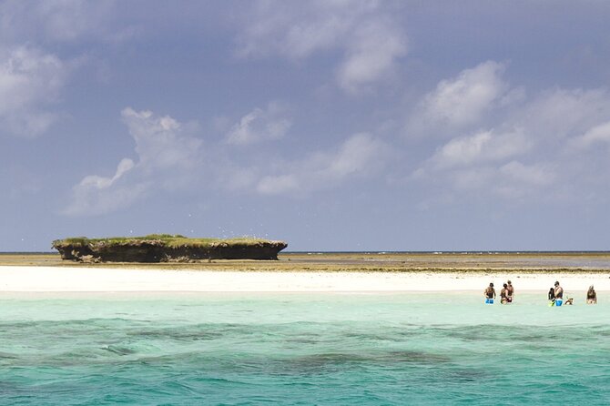Wasini Dolphin Snorkeling - Who should book this day