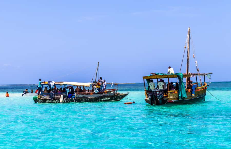 Wasini Island: Dolphin Spotting & Snorkel at Kisite Mpunguti - Key points at a glance