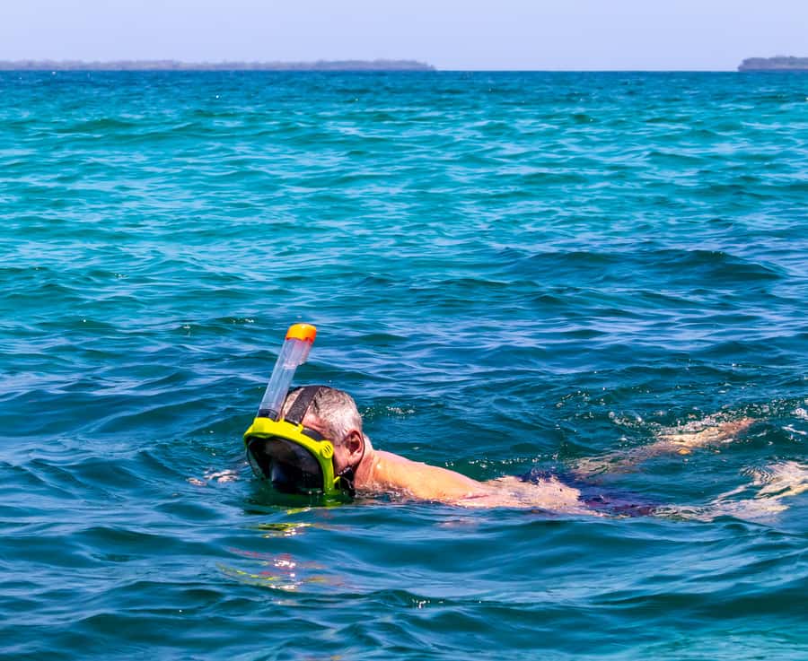 Wasini Island: Dolphin Spotting & Snorkel at Kisite Mpunguti - Who should book this Wasini day trip?