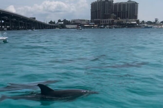 Waverunner Dolphin Tour - The Final 30 Minutes: Ride Time