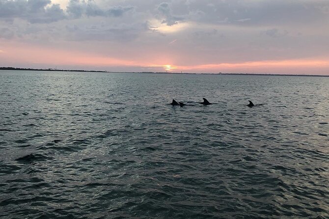 Waverunner Dolphin Tour - Safety Rules You Must Handle Before Arrival