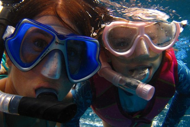 West Oahu Afternoon Turtle Snorkel Sail - Should You Book the West Oahu Turtle Sail?