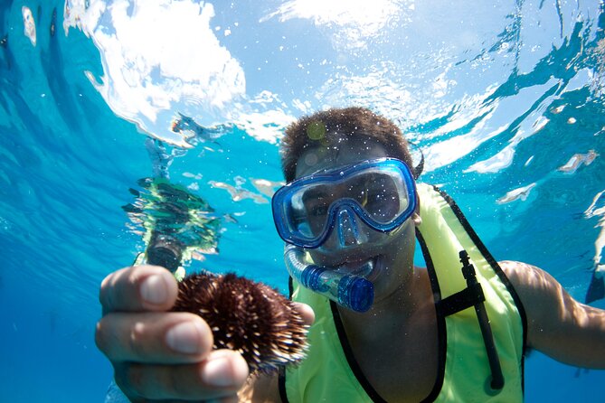 West Oahu Dolphin Watch and Snorkel Sail with Lunch - Makua Beach, Mauna Lahilahi, and Kaneana Cave