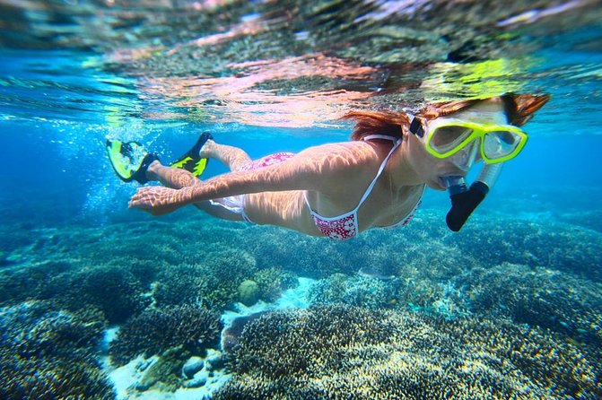 West Oahu Dolphin Watch and Snorkel Sail with Lunch - Breakfast, deli lunch, and the onboard bar