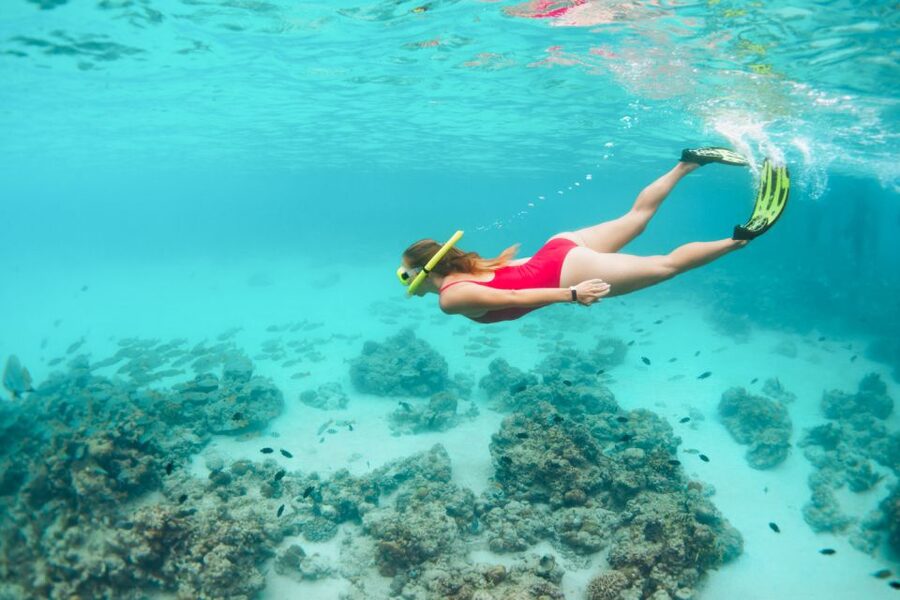 West Oahu: Turtles, Dolphins, and Snorkeling Tour with Lunch - Should you book the West Oʻahu turtle and dolphin cruise?
