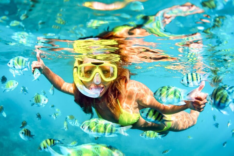 West Oahu: Turtles, Dolphins, and Snorkeling Tour with Lunch - The snorkel stop with turtles and reef fish