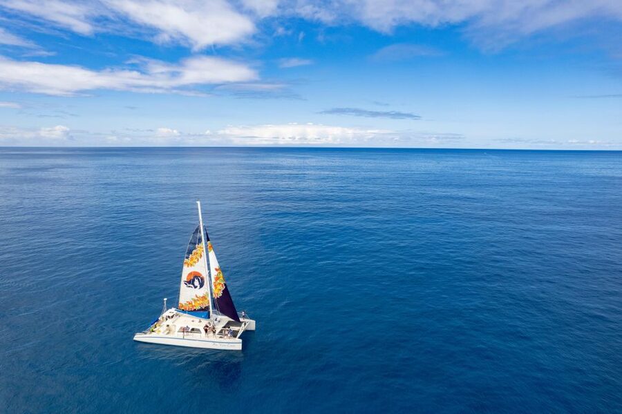West Oahu: Turtles, Dolphins, and Snorkeling Tour with Lunch - Lunch, cocktails, and time on deck