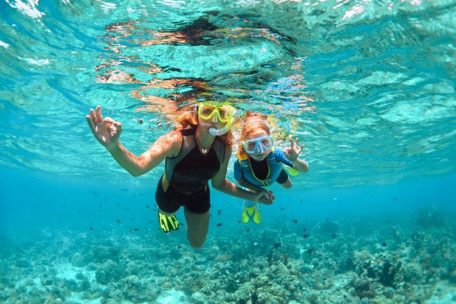 West Oahu: Turtles, Dolphins, and Snorkeling Tour with Lunch - What the boat and crew add