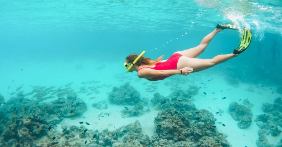 West Oahu: Turtles, Dolphins, and Snorkeling Tour with Lunch - The first hour: looking for spinner dolphins