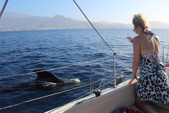 Whale and Dolphin Small Group Sailing from Tenerife South - Why a small boat works well in Tenerife