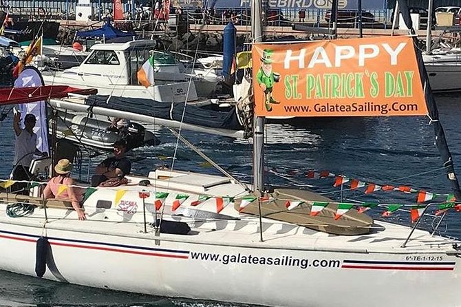 Whale and Dolphin Small Group Sailing from Tenerife South - What the three hours feel like
