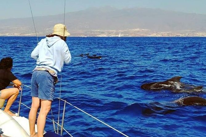 Whale and Dolphin Small Group Sailing from Tenerife South - Leaving Puerto Colón for the open water