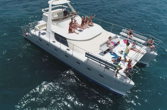Whale and Dolphin Watching Catamaran with Transfer and Buffet - Who should book this outing