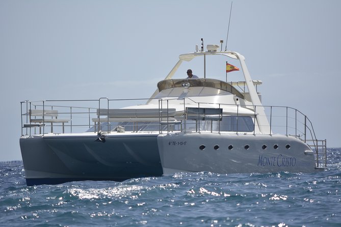 Whale and Dolphin Watching Catamaran with Transfer and Buffet - Searching for pilot whales and dolphins