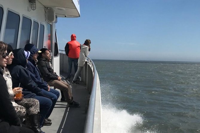 Whale and Dolphin Watching Cruise from Cape May - The Price: Fair for Time on the Water