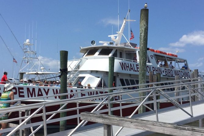 Whale and Dolphin Watching Cruise from Cape May - Who Will Enjoy This Cruise Most