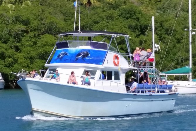 Whale and Dolphin Watching Cruise in St Lucia - Dolphins can change the whole mood