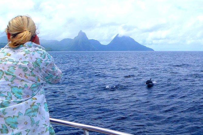 Whale and Dolphin Watching Cruise in St Lucia - The return ride and St Lucia’s coast
