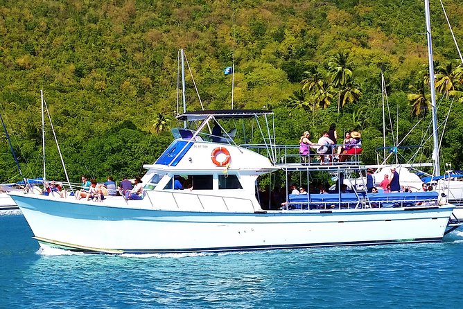 Whale and Dolphin Watching Cruise in St Lucia - Is the $65 price fair?