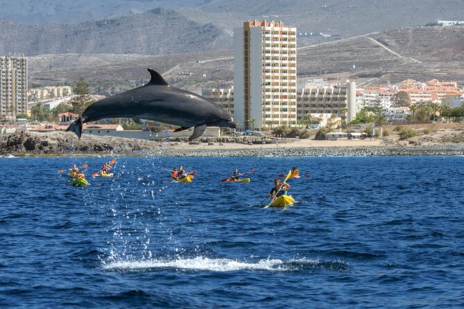 Whale and Dolphin Watching EcoAdventure in Tenerife - Why this small Tenerife boat trip feels different