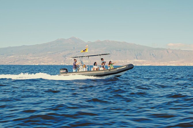 Whale and Dolphin Watching EcoAdventure in Tenerife - Hearing whales and dolphins through the hydrophone