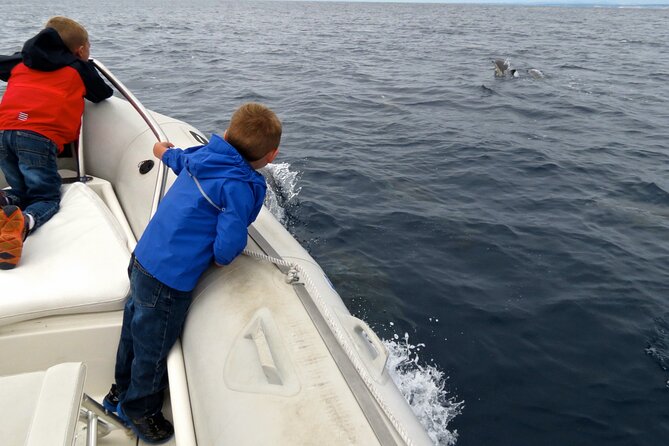 Whale and Dolphin Watching in San Diego - What Captain Ray and Captain Alyssa add