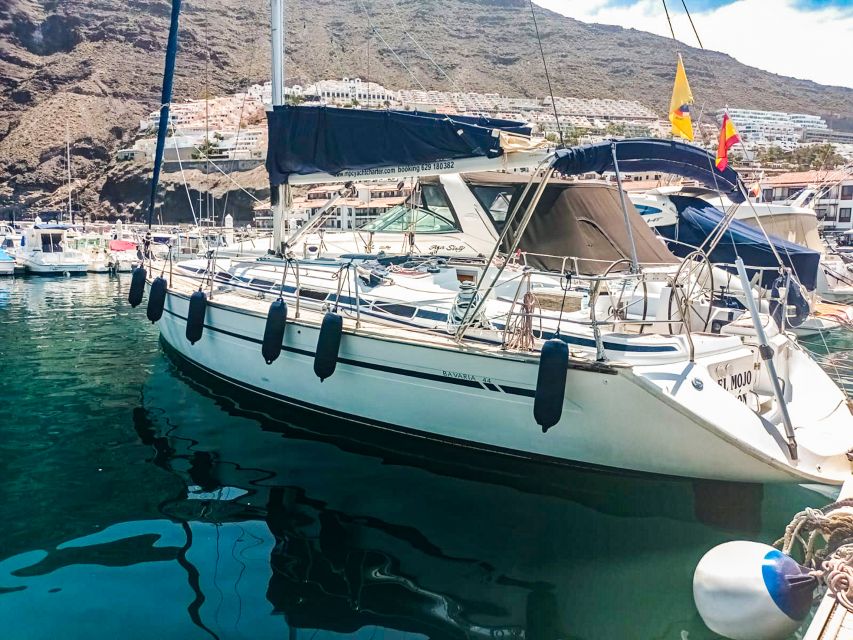 Whale and Dolphin Watching Sailing Tour – Los Gigantes (3H) - Should you book the Los Gigantes whale-watching tour?