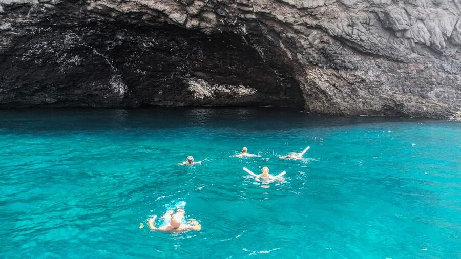 Whale and Dolphin Watching Sailing Tour – Los Gigantes (3H) - Tapas, fruit, and drinks on the way back