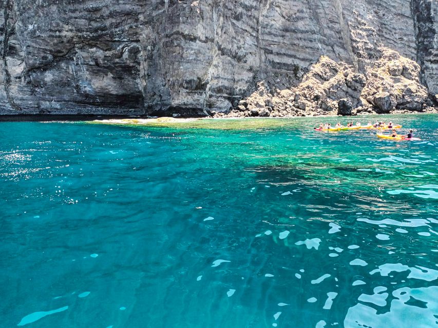 Whale and Dolphin Watching Sailing Tour – Los Gigantes (3H) - Who will enjoy this sailing trip most