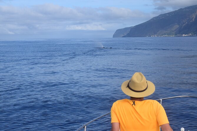 Whale and Dolphin Watching Tour in Madeira - Weather, Cancellations, and Practical Planning