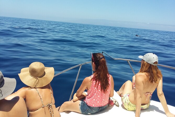 Whale and dolphin watching tour Los Gigantes and Masca in small groups - Setting out from Playa San Juan at 10 a.m.
