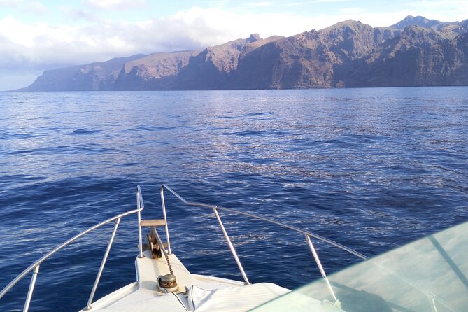 Whale and dolphin watching tour Los Gigantes and Masca in small groups - Fresh snacks and the onboard atmosphere