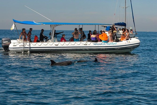 Whale and Dolphin Watching with a Biologist in Puerto Vallarta - A small covered boat makes a real difference