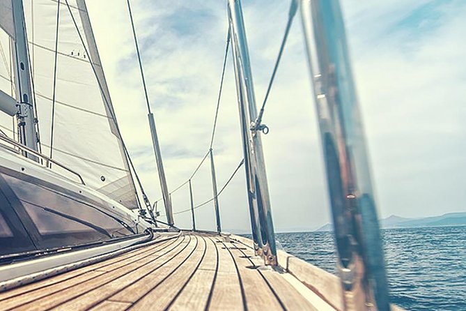Whale and Dolphin Watching Yacht Trip in Puerto Colon - Swimming and snorkeling when the sea allows