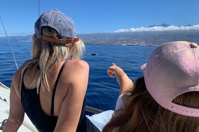 Whale and Dolphin Watching Yacht Trip in Puerto Colon - Is $62.56 a fair price?