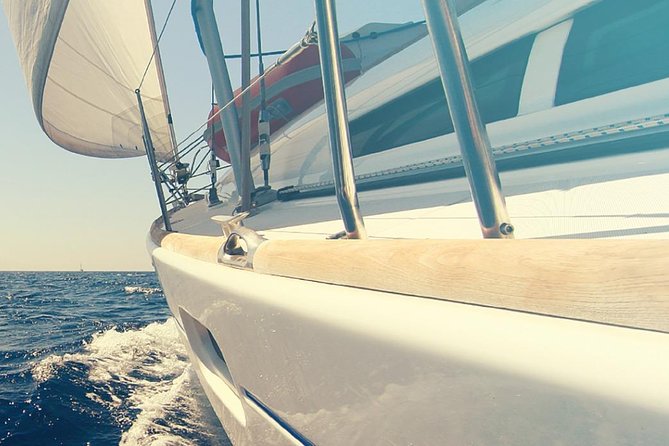 Whale and Dolphin Watching Yacht Trip in Puerto Colon - What the three-hour itinerary feels like